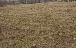 Teren intravilan de vanzare, 3160 mp, strada Garii, sat Hodora, comuna Cotnari - Poză 4