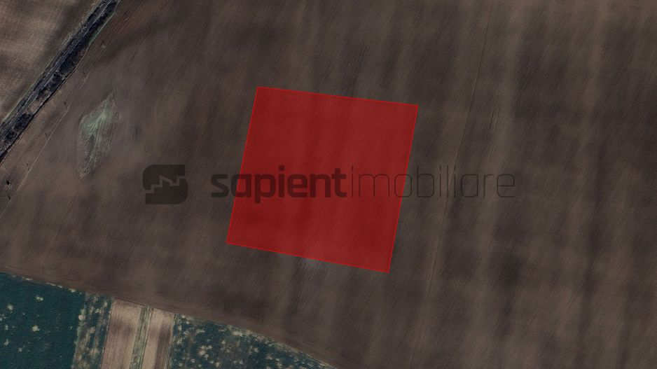 Sapient | Teren extravilan _ zona Calea Aradului - Aeroport - Poză 1