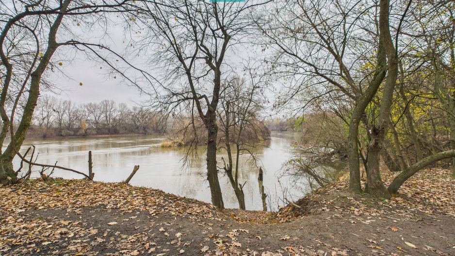 Teren pe malul Muresului- oportunitati multiple - Poză 8