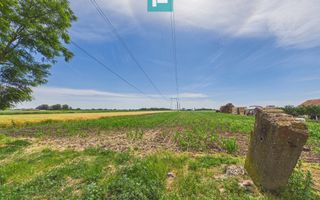 Teren extravilan în suprafață de 10.000 mp, Arad - Poză 9