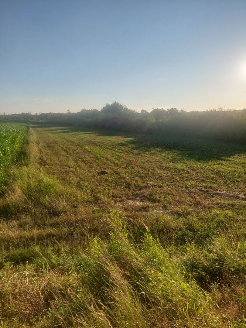 TEREN DE VÂNZARE-32480 mp CARANSEBEȘ JUD.CS,  0% COMISION - Poză 6