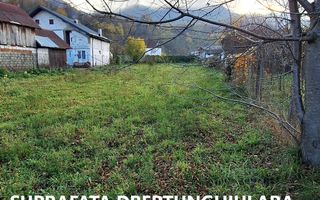 Teren intravilan Calimanesti-Seaca cu acces la DN latime 19ml - Poză 8