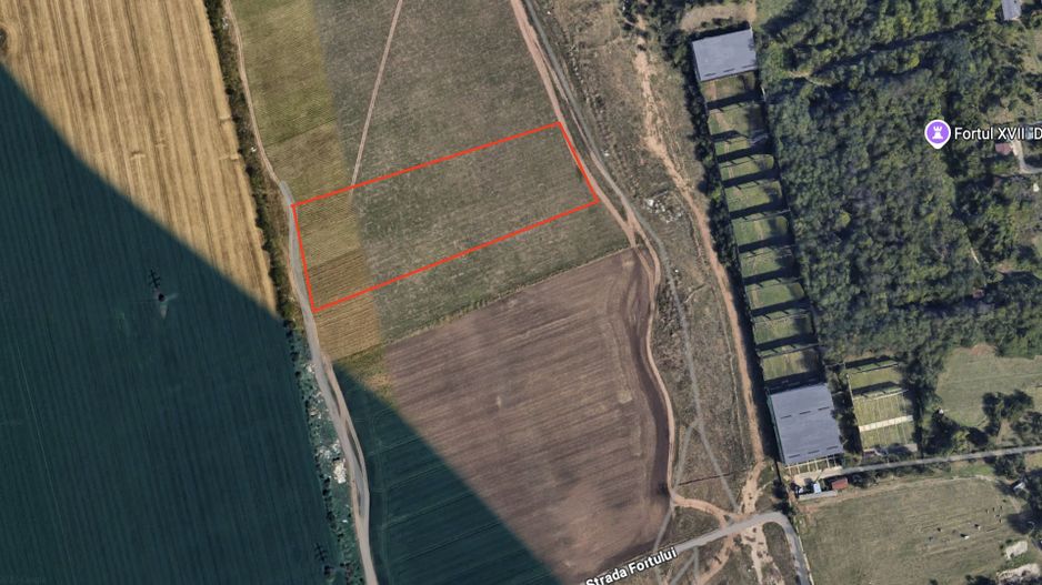 Teren de vanzare Domnești - Str. Narciselor - 20312mp - Poză 2