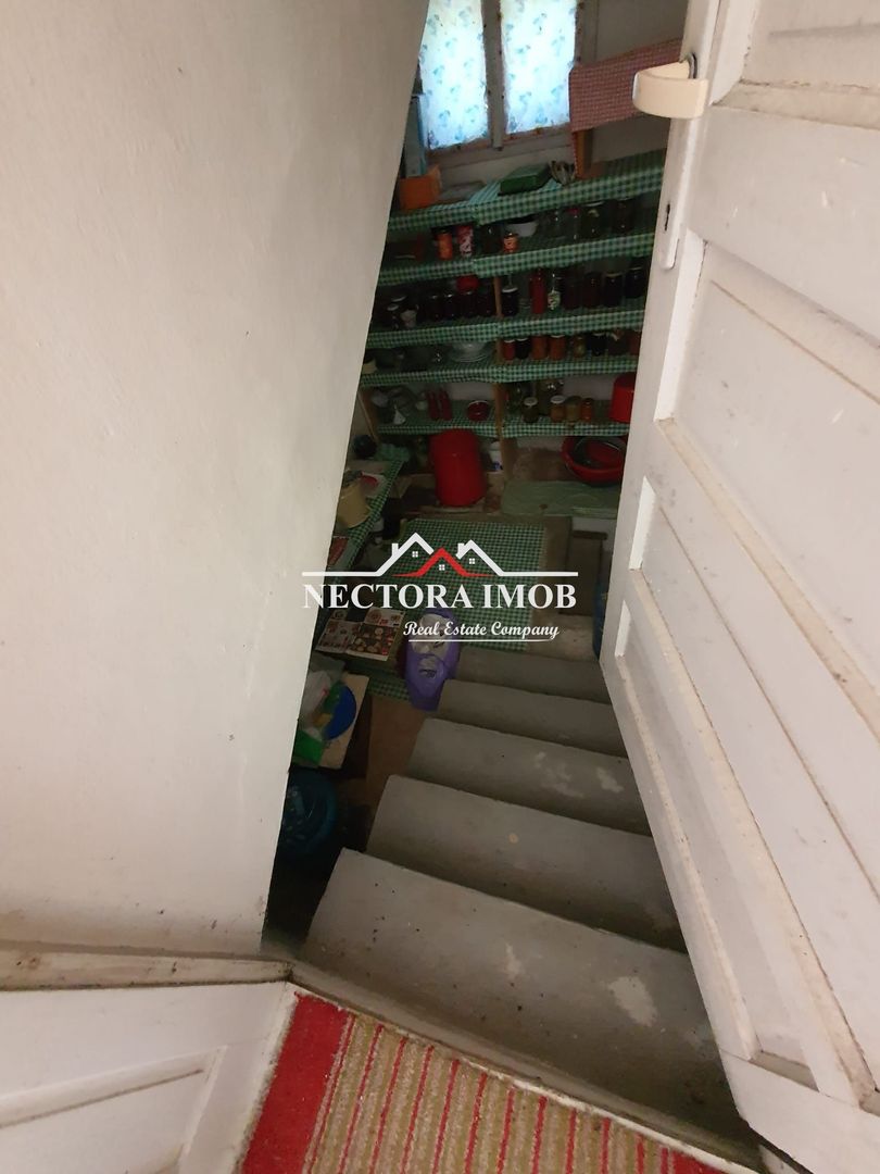 NECTORA IMOB Exclusivitate-Casa cu etaj tip Pensiune, 2300 mp, Soimi - Poză 13