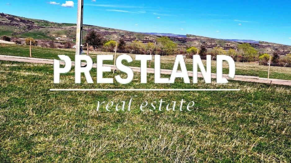 Teren situat în Daia Nouă!! - Poză 3