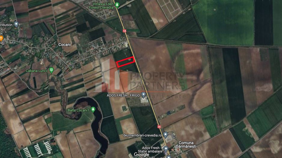 Teren Crevedia - Cocani, deschidere la DN1A - Poză 4