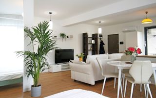 Studio de Lux *52mp * / Aviației-Herastrau - Poză 4