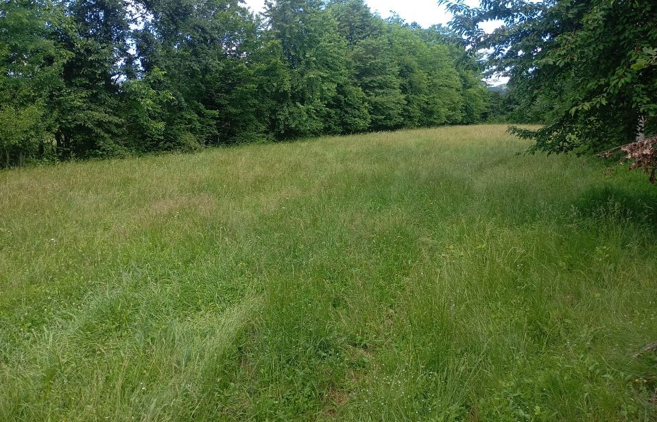 teren 1773 mp | Prahova | Banesti | Urleta | Campina - Poză 1
