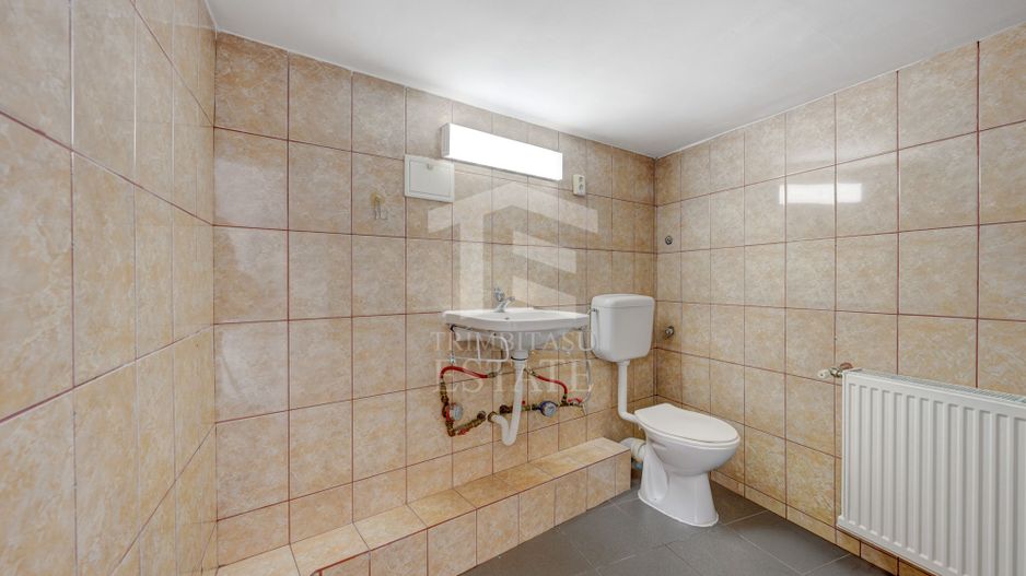 SI CASA SI AFACERE totul sub același acoperiș in Sector 5/Sălaj - LIDL - Poză 20