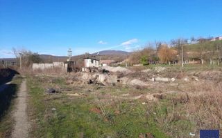 Spatiu de productie, fosta balastiera, Conop, 9100 mp - Poză 4