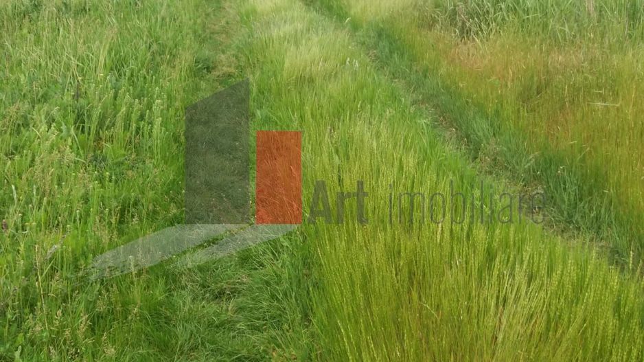 Teren Buftea cu iesire la lac - Poză 16