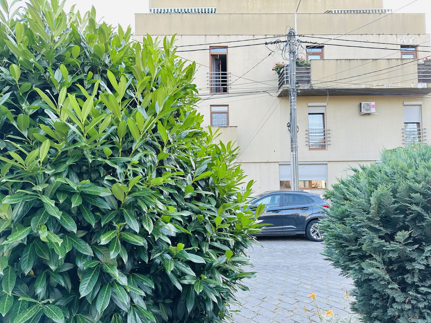 Strada Putna - Facultati Timisoara | 3 camere, spatios | Terasa, Et 1 - Poză 3