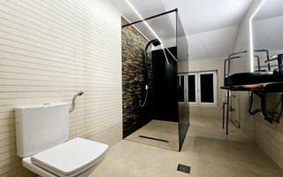 Casa individuala de inchiriat, Cetate - Poză 14