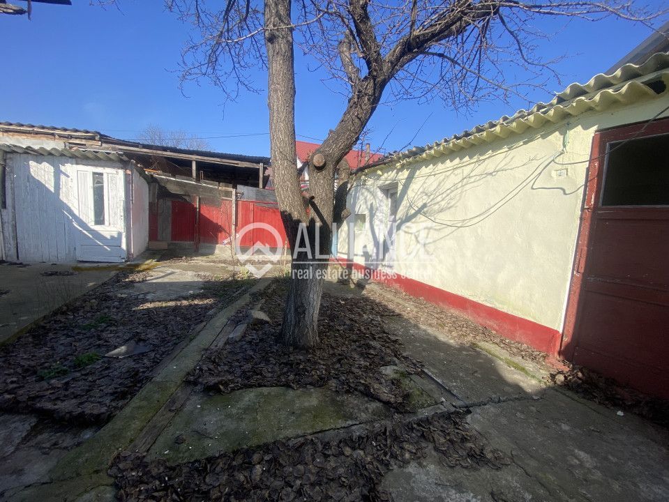 Murfatlar (COD 07)Casă bătrânească locuibilă cu teren de 300 mp - Poză 9