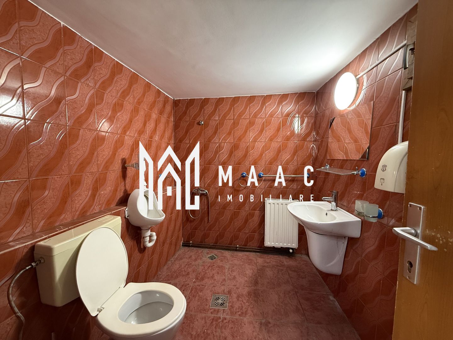 Spatiu comercial | La strada | 200 MP | Teren 300MP | Vestem - Poză 8