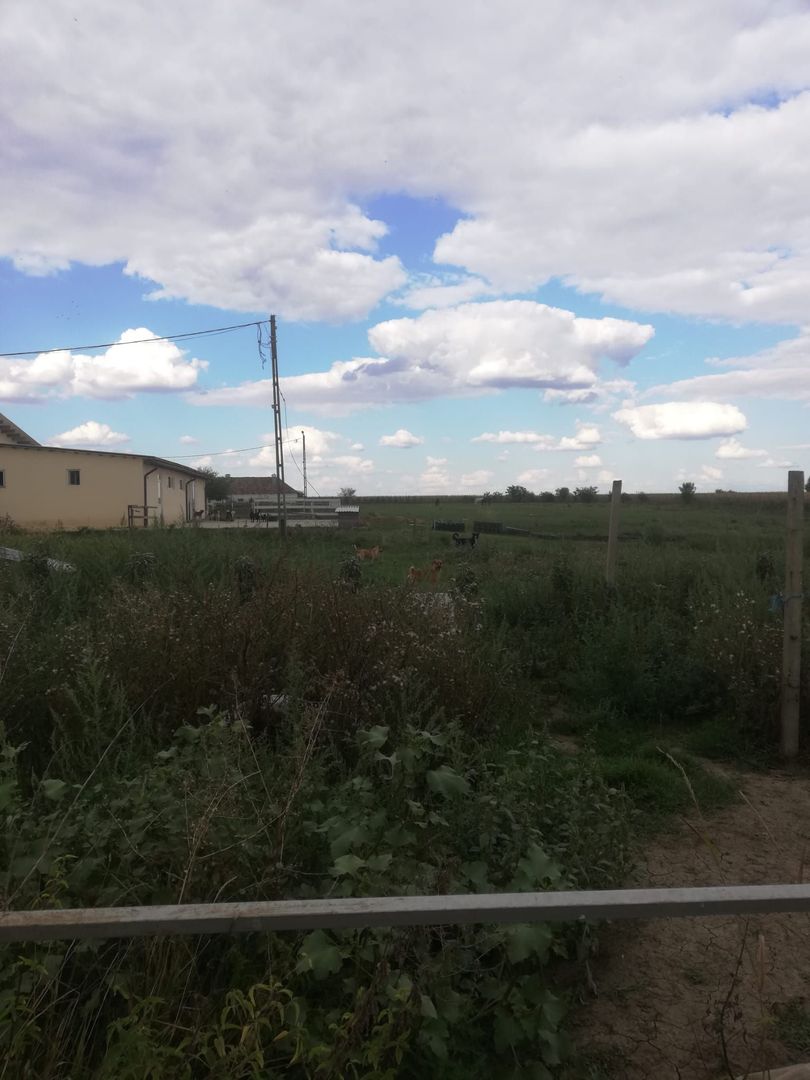 Ferma de vânzare - Poză 12