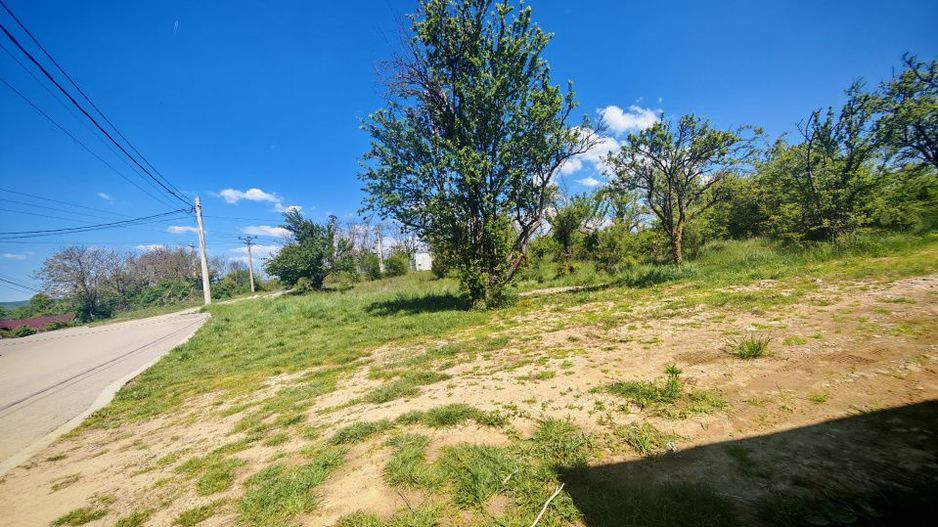 Teren intravilan 2.000 mp in Mioveni – Ideal pentru casa sau investitie! - Poză 3