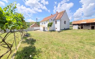 Casa individuala cu teren generos – 8.356 mp – Tichindeal, jud. Sibiu - Poză 1