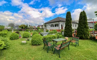 Casă boierească  de poveste- 7000 mp teren - Poză 60