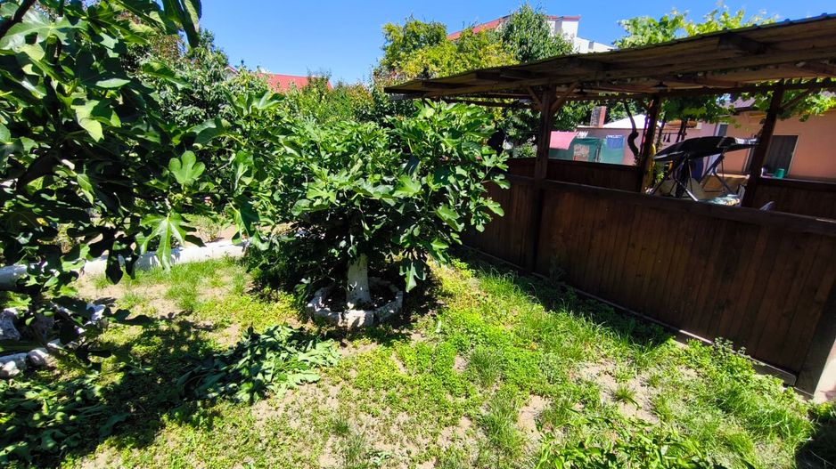 VIILE NOI - casa cu o curte generoasa disponibila imediat - Poză 18