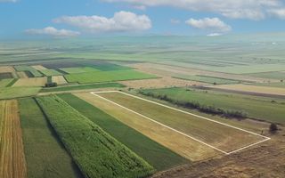 Teren extravilan | 19.000 mp | Ghidfalău - Poză 10