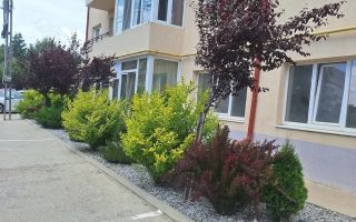 Apartament 2 camere de inchiriat, Valea Lupului, Iasi - Poză 9