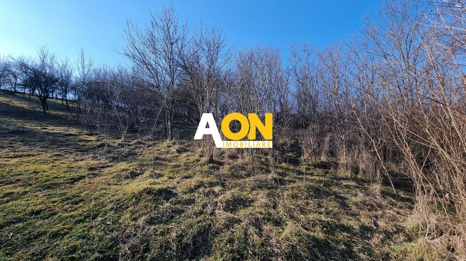 De vanzare 943 mp teren intravilan, cu utilitati, Oarda de Sus - Poză 3