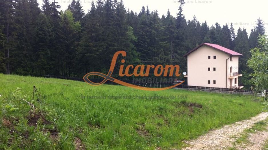 Teren intravilan Cotul Donului,pretabil Hotel/pensiune. - Poză 14