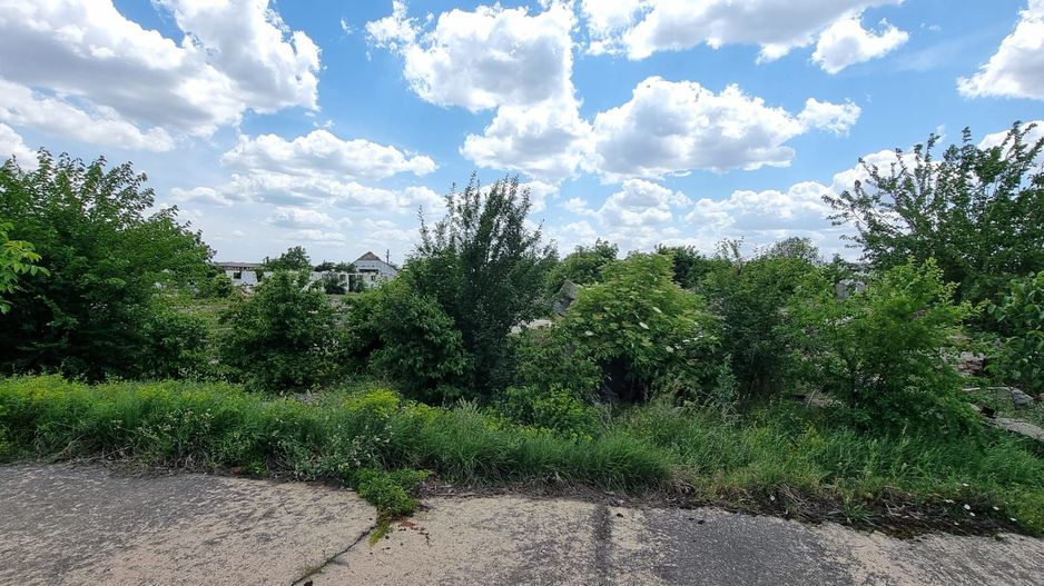 8 ha Otopeni - Poză 2