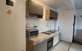 Apartament 2 camere de închiriat în Dumbravita - Poză 19