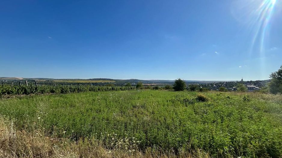 Teren de vânzare 10 ari Sângera (Floreni) - Poză 4