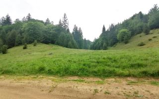 Teren intravilan langa Poiana Brașov, 52 mp front strdal, Utilitati in zona - Poză 9