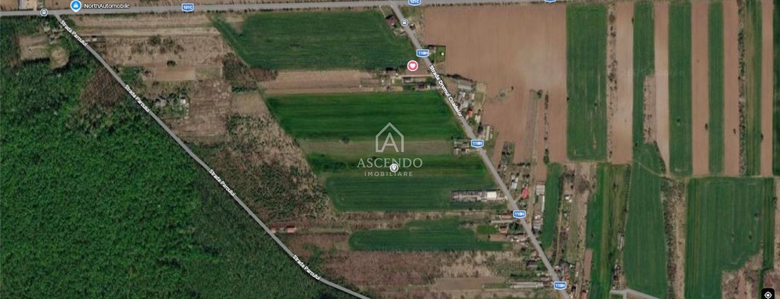 Teren intravilan 704 mp – Siliștea Snagovului | Lângă Pădurea Snagov - Poză 1