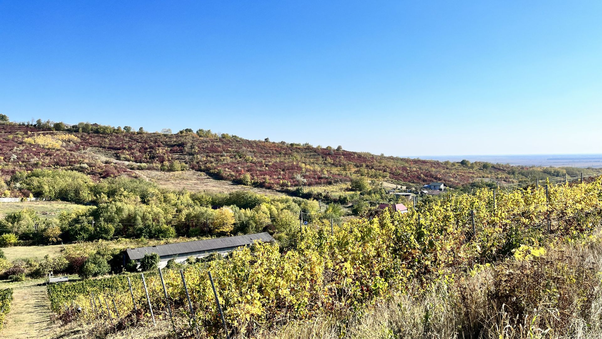 14Ha podgorie, livada pomi fructiferi, si conac 3000mp - Poză 8