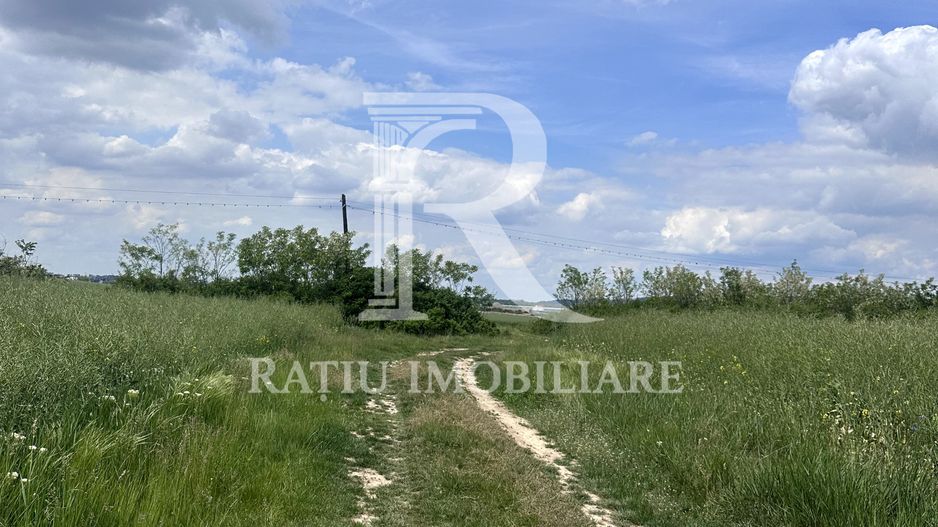 Teren Extravilan | Oportunitate de investiție | Bihor - Poză 2