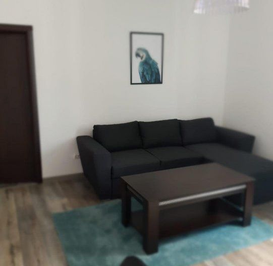 Inchiriere - Apartament 2 camere in zona Victoriei-Strada Sevastopol-550EUR - Poză 1