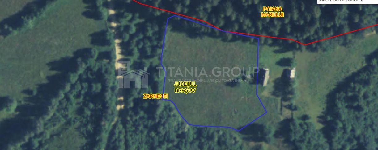 Platou montan, 6631 mp intravilan, electricitate,  langa pădure - Poză 6