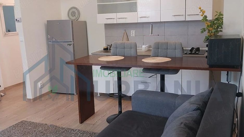 Apartament 2 camere, Iași, zona Podu de Fier, parter, bloc nou, parcare, gradină, utilat complet - Poză 5