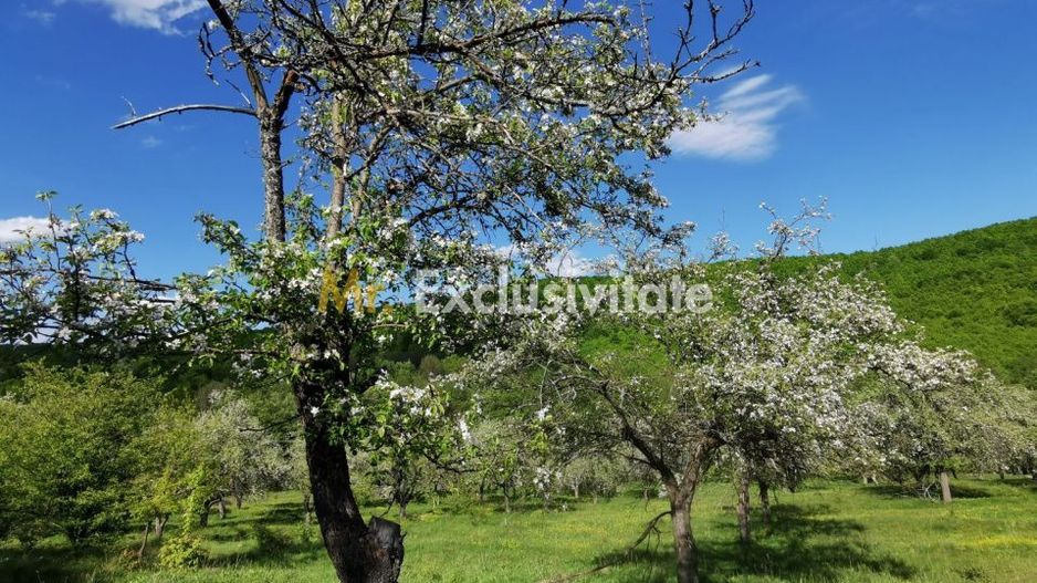 Teren 680mp Budeasa Mica, AG - Poză 8