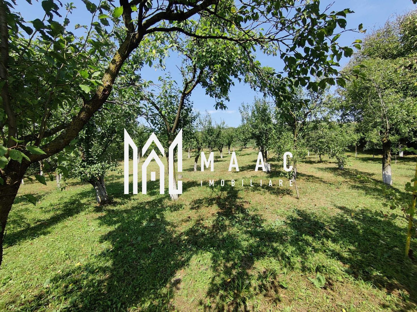 Casa 3 Camere | Teren 2500 mp | Rusi - Poză 4