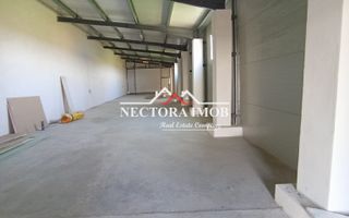 NECTORA IMOB-4 hale industriale noi, Zona Livada de Bihor, Curte mare - Poză 1