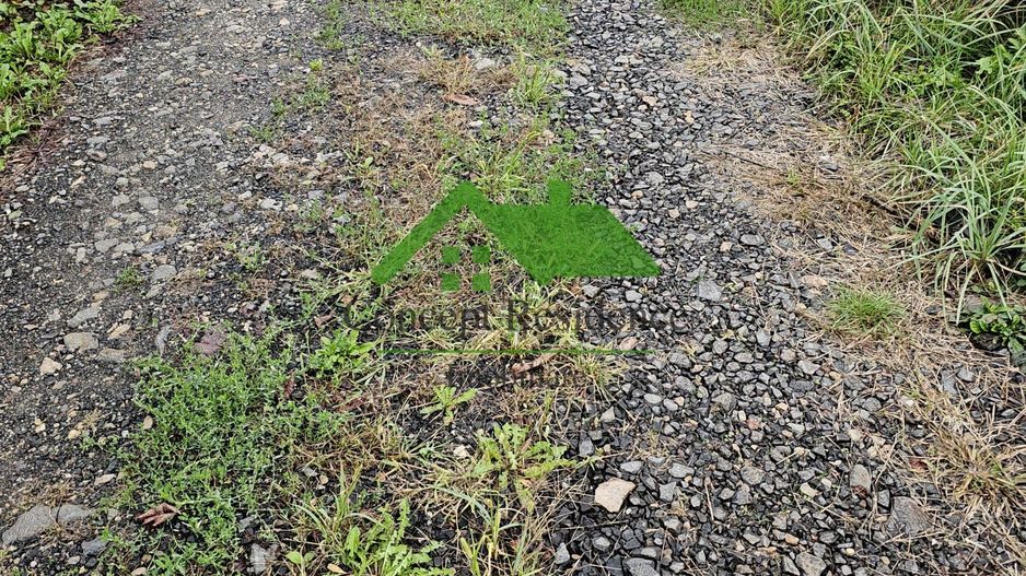 Vânzare teren intravilan 2800 mp – Baia Sprie, cartier de case - Poză 5