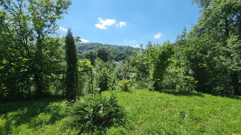 Casa de la marginea padurii! - Poză 12