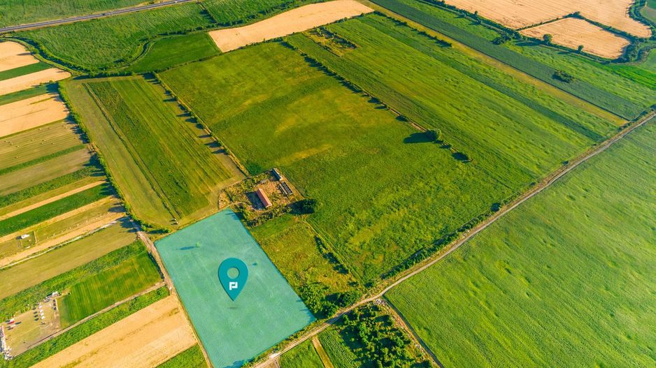 Teren de 10.000 mp situat în Bujac, Arad - Poză 1