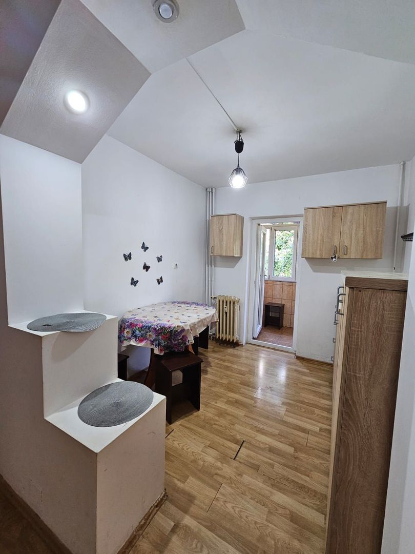 Apartament 2 camere- Lapus - Poză 5