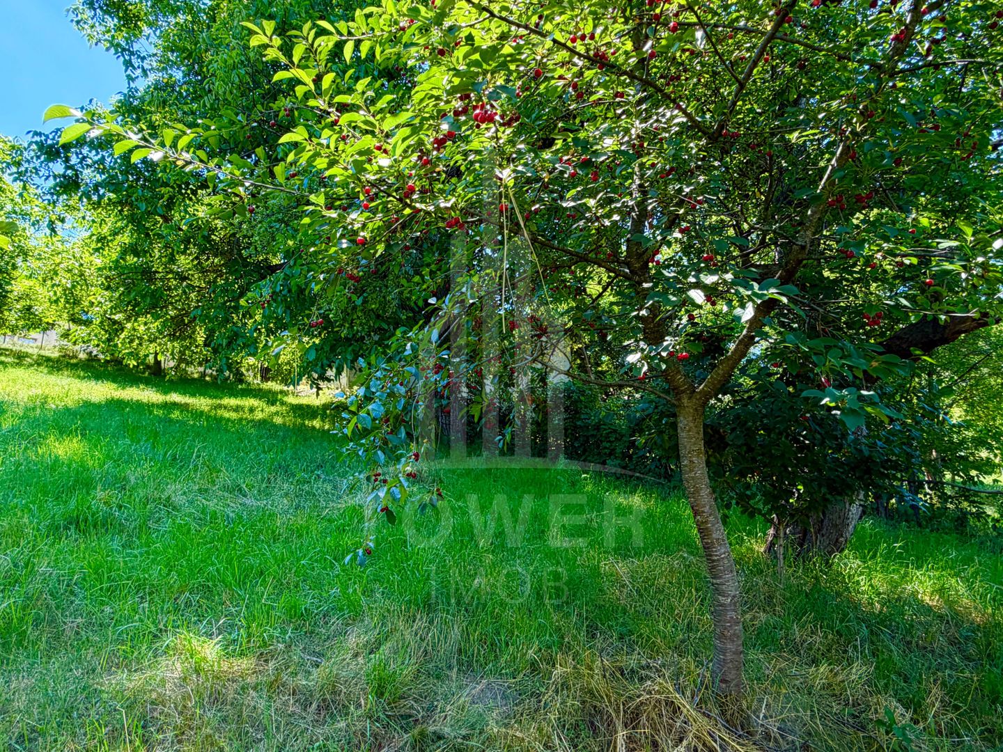 Casă de vânzare-teren 2.300 mp| Ocna Sibiului - Poză 23