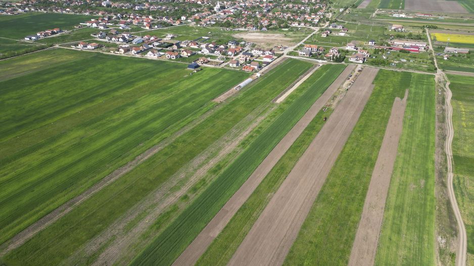 Loc de casa de 504 mp în Livada - Poză 11