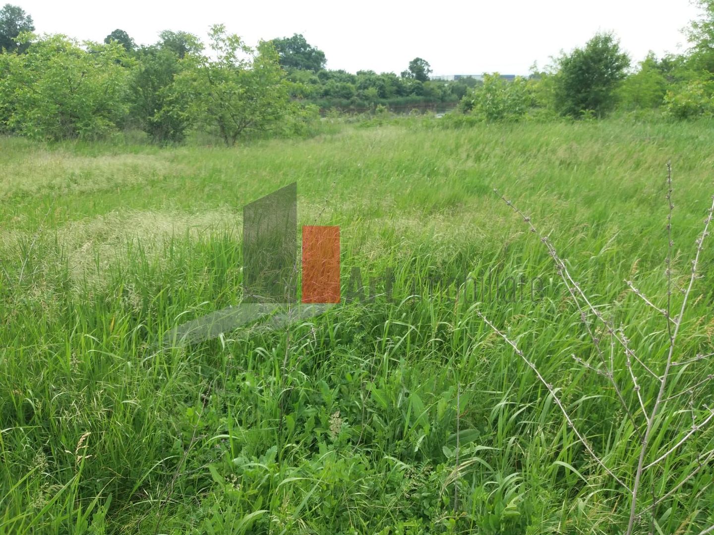 Teren Buftea cu iesire la lac - Poză 12