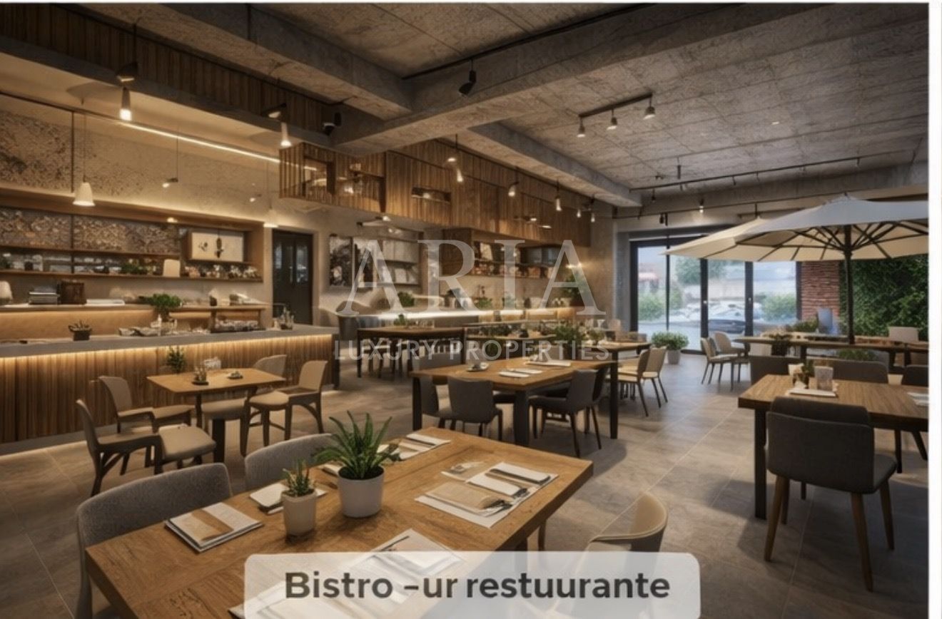 SPATIU COMERCIAL PIPERA EROU IANCU NICOLAE - Poză 3