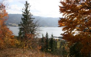 Teren intravilan de vanzare - Colibita - Poză 5